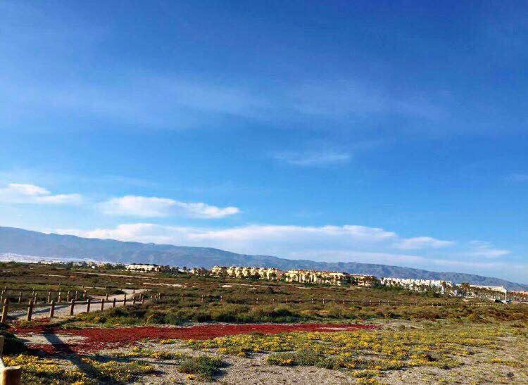 Apartamento Lujo, Primera Linea Playa, Garaje, Wifi, Piscina Climatizada Roquetas de Mar Bagian luar foto